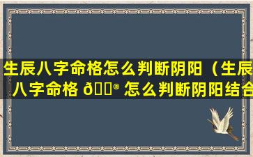生辰八字命格怎么判断阴阳（生辰八字命格 💮 怎么判断阴阳结合）